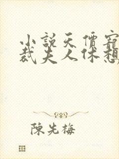 小说天价宠妻总裁夫人休想逃