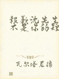 报歉沈先生孩子不是你的短剧大结局