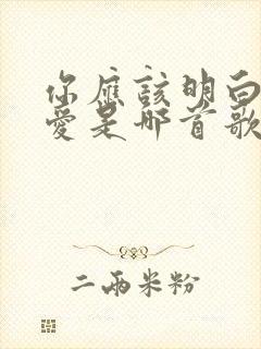 你应该明白我的爱是哪首歌的歌词