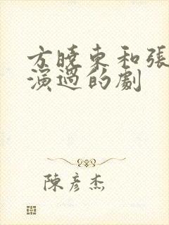 方晓东和张淼怡演过的剧