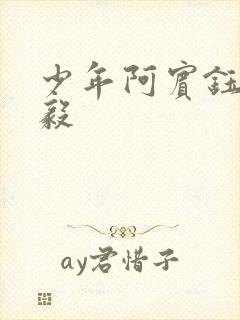 少年阿宾钰慧小毅
