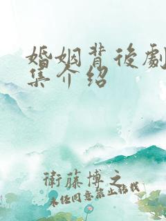 婚姻背后剧情分集介绍