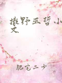 撒野巫哲小说全文