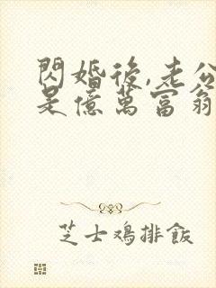 闪婚后,老公竟是亿万富翁txt