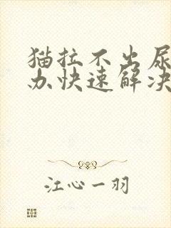 猫拉不出尿怎么办快速解决