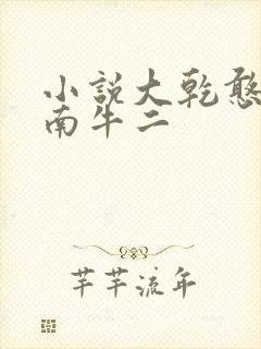 小说大乾憨婿皖南牛二
