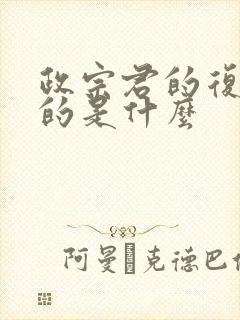 政宗君的复仇讲的是什么