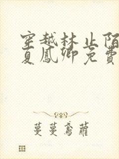 穿越林止陌皇后夏凤卿免费阅读