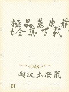 极品万岁爷txt全集下载 完整版