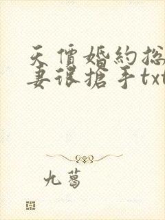 天价婚约总裁前妻很抢手txt