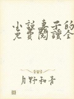 小说妻子的秘密免费阅读全文