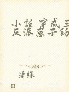 小说 穿成三个反派崽子的后娘怎么办