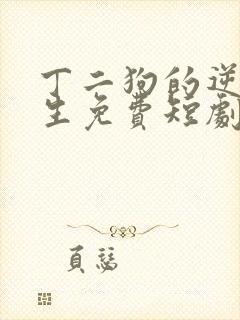 丁二狗的逆袭人生免费短剧