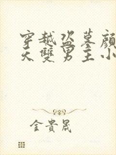 穿越盗墓颜值逆天双男主小说