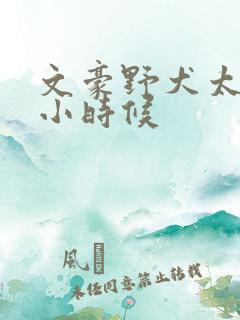 文豪野犬太宰治小时候