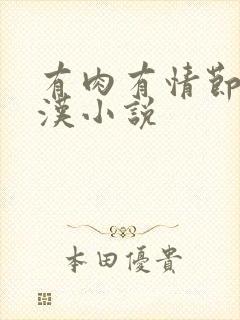 有肉有情节的糙汉小说