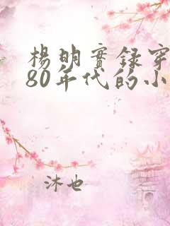 杨明实录穿越到80年代的小说