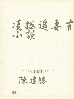 凌总追妻有点甜小说