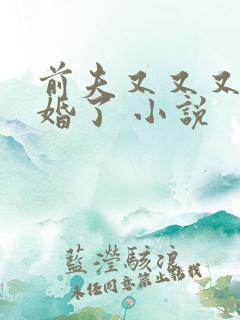 前夫又又又想复婚了 小说