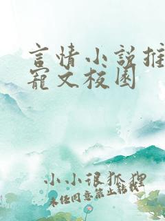 言情小说推荐甜宠文校园