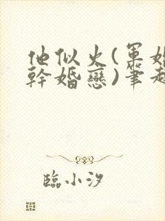 他似火(军婚高干婚恋)笔趣阁完整版