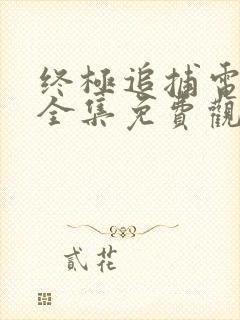 终极追捕电视剧全集免费观看