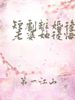 短剧离婚后总裁老婆她后悔了免费观看