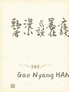 韩漫《暴夜》原著小说在线看