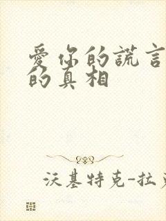 爱你的谎言仇恨的真相