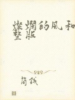 灿烂的风和海完整版