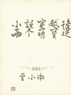 小说穿越后我带两个萌宝逆袭成首富