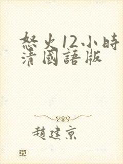 怒火12小时高清国语版