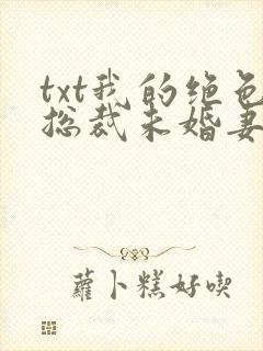 txt我的绝色总裁未婚妻