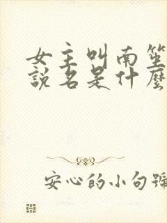 女主叫南笙的小说名是什么