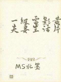 一级电影黄色的夫妻生活片