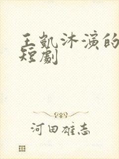 王凯沐演的所有短剧