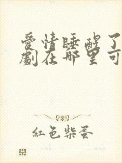 爱情睡醒了电视剧在哪里可以看