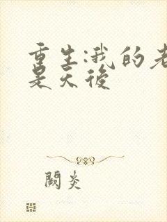 重生:我的老婆是天后