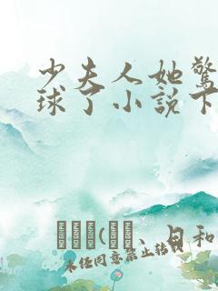 少夫人她惊艳全球了小说下载txt