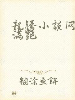 龙腾小说网乡村满艳