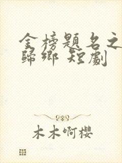 金榜题名之状元归乡 短剧