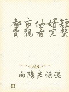 都市仙婿短剧免费观看完整版高清