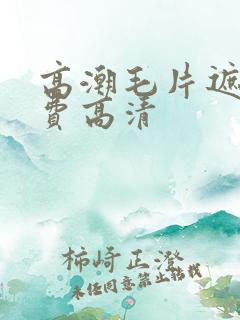 高潮毛片遮挡免费高清