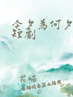 今夕为何夕完整短剧