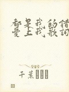 都是我的错让你爱上我歌词