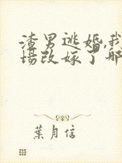 渣男逃婚,我当场改嫁了哪里可以看