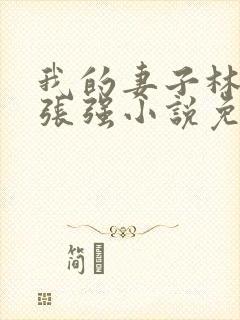 我的妻子林慧茹张强小说免费阅读