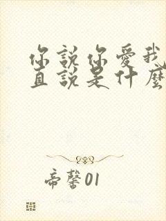 你说你爱我却一直说是什么歌