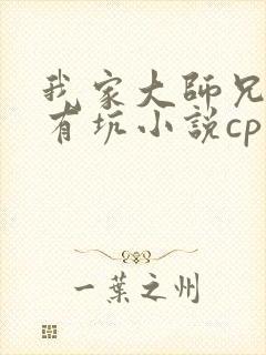 我家大师兄脑子有坑小说cp