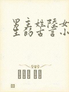 男主姓陆女主重生的古言小说